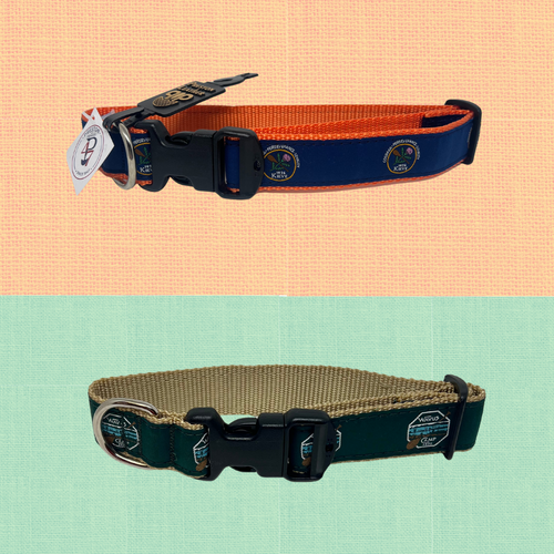 Kieve or Wavus Dog Collar