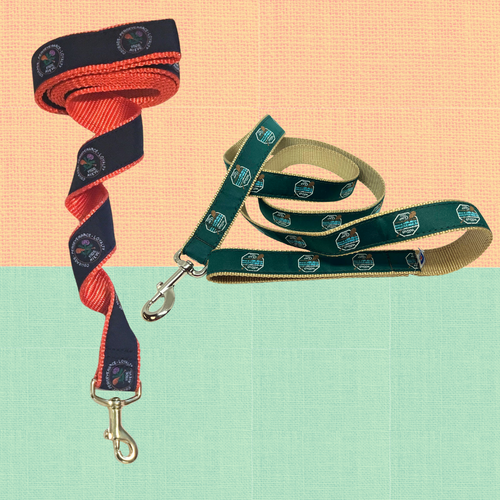 Kieve or Wavus Dog Leash